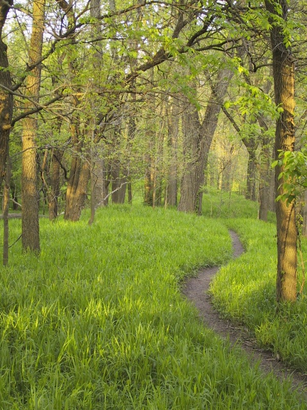 mother%20flowers%20004