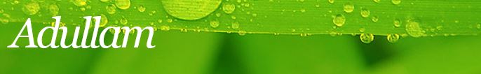 Adullam