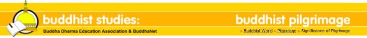 buddha studies